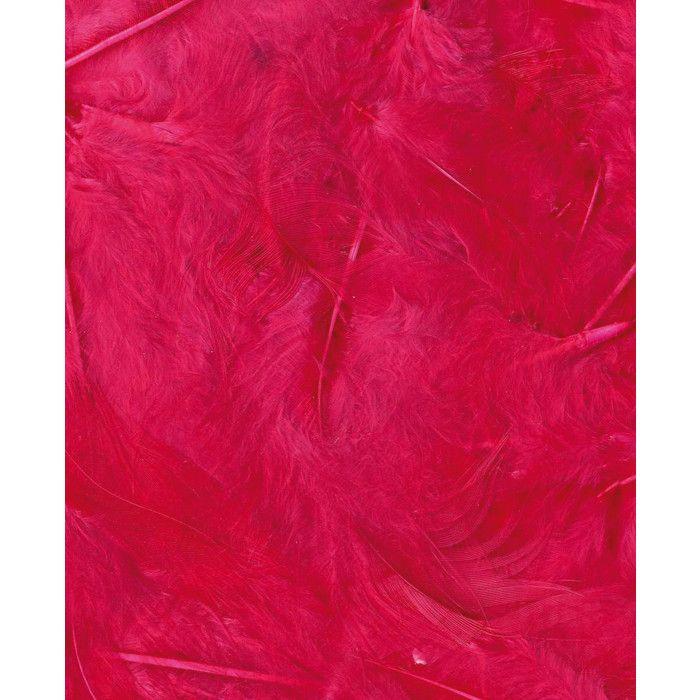 PLUMES FUCHSIA - 12 CM