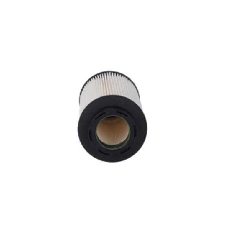 HOWO TAZ3185Z40A Diesel Fuel Filter