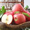 JiaNong Yantai Red Fuji Apples