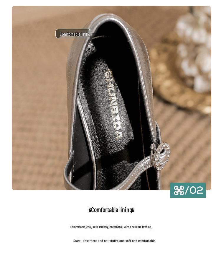 Silver Mary Jane High Heels: Women's Square Toe Retro Chunky Heel One-Strap Shoes for Spring and Autumn.