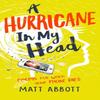 A Hurricane In My Head by Matt Abbott Paperback Book 9781472963505