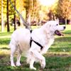 300cm Dogs Leash for Large Dog Walking Leash Rope Heavy Duty Extending Dog Leash Rope with Shock Absorbing Spring