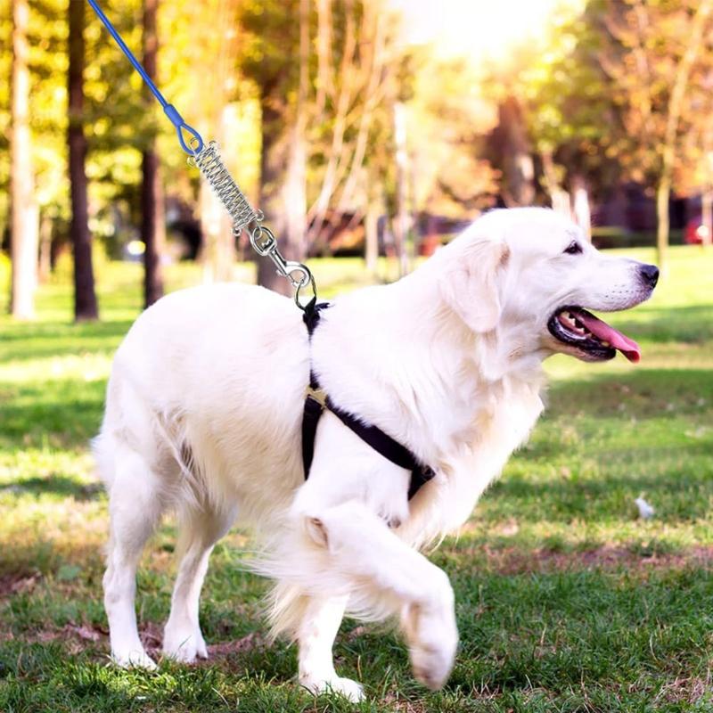 300cm Dogs Leash for Large Dog Walking Leash Rope Heavy Duty Extending Dog Leash Rope with Shock Absorbing Spring