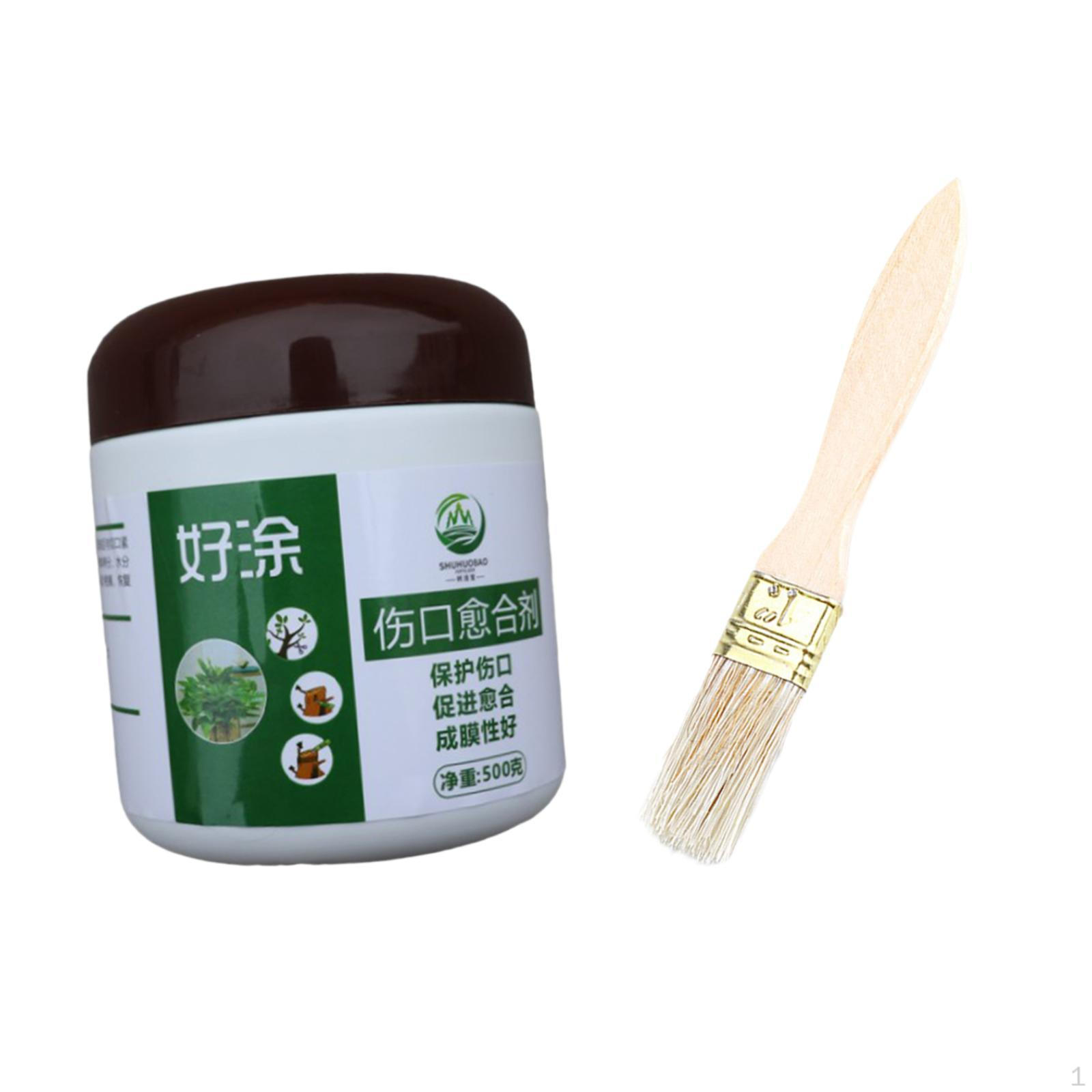 

Паста для прививки для запечатывания ран на деревьях с помощью кисти бонсай