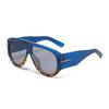 New Trendy Oversized Large Frame Y2K Cat Eye Sunglasses for Women Vintage Retro Oval Gradient Sunglasses UV400 Decoration Shades