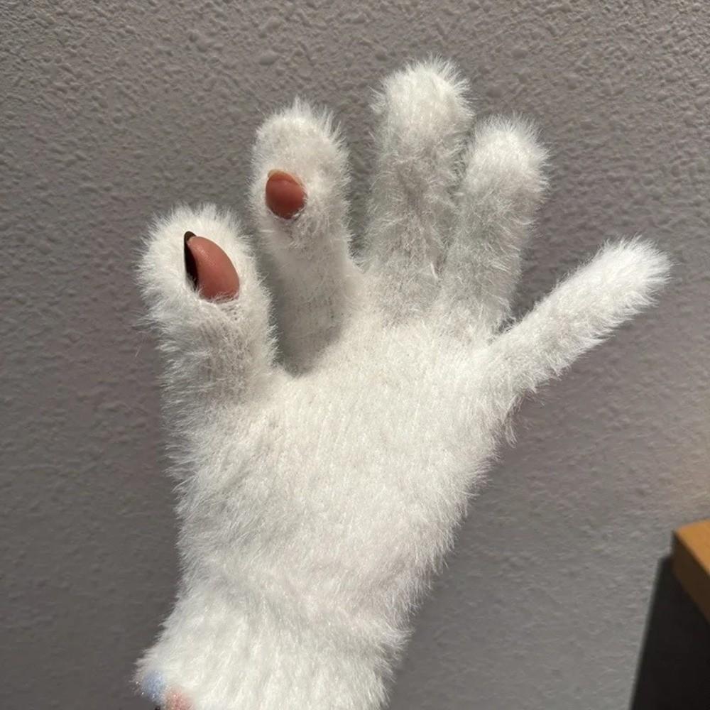 Thickened Touch Screen Gloves Warm Five Finger Gloves Korean Style Plush Gloves Winter