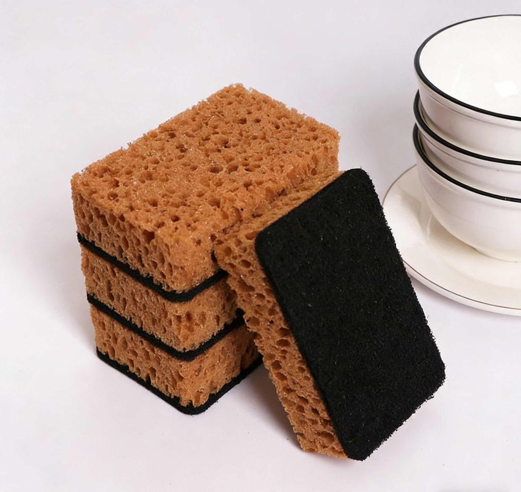 Köksborste Skål, Fyrkantig Havsbadssvamp, Skursvamp