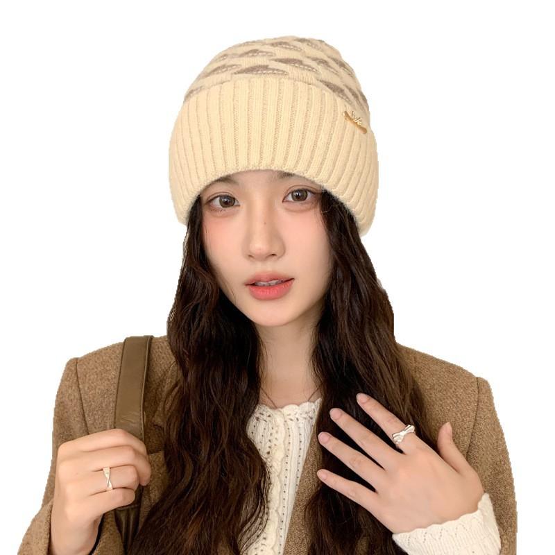 Korean Version Thickened Woolen Hat Autumn and Winter Women's Warm Plus Velvet Fashion Hat Versatile Knitted Hat New Style
