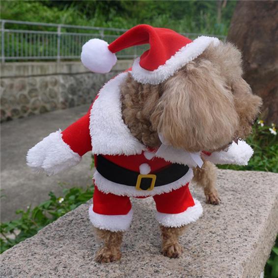M Vestiti Natale Gatto Cane,Natale Animale Domestico Costume,Natale Cane Cosplay Babbo Natale Abbigliamento a Righe,Natale Cucciolo Kitty Vestiti da Festa Capodanno Dress Up Feste per Animali Abiti M Vestiti Natale Gatto Cane,Natale Animale Domestico Costume,Natale Cane Cosplay Babbo Natale Abbigliamento a Righe,Natale Cucciolo Kitty Vestiti da Festa Capodanno Dress Up Feste per Animali Abiti