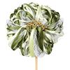 30pcs Wedding Sparklers for Send Off with Gold Bells and Lace Silk Party Event Holiday Celebration Gift