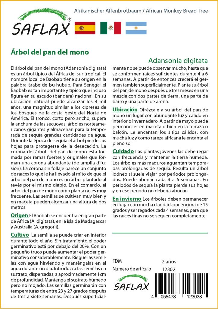 SAFLAX Árbol del pan del mono africano - 6 semillas - Adansonia digitata