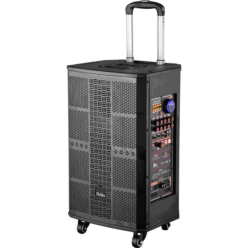 Runpu 10-inch Portable Conference & Karaoke Trolley Speaker (CN version)