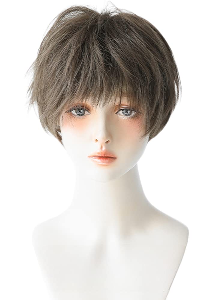 Harajuku-inspired Men's Full Wig, Brown, Voluminous, Curly, Short, Popular, Fashionable, Harajuku Style, with Net, Natural, Unisex (Cool Ash Brown)