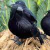 1-5PCS Realistic Black Crow Decoration Flocked Feather Animal Prop Horror Halloween Decor for Home Garden Party Display