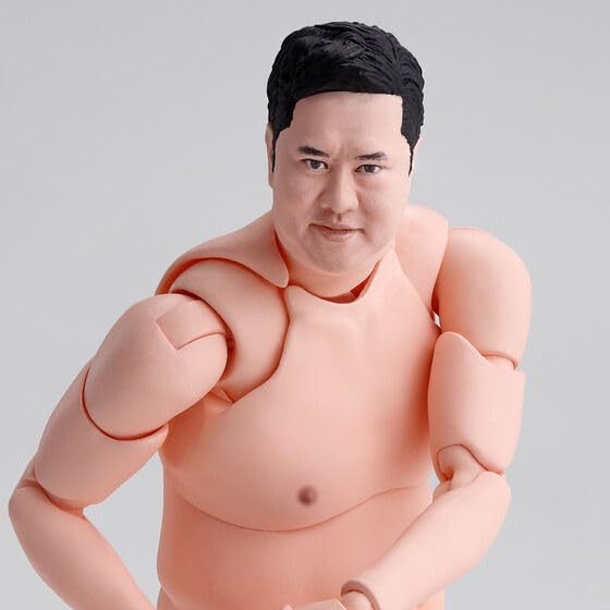 

S Ясумура всегда яркий H.Figuarts