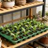 32-Cell Garden Plant Grow Box Seedling Nursery Pots Seed Germination Trays with Drainage Holes Propagation Seedling Starter
