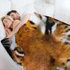 Bengal Tiger Throw Blanket Blankets For Bed Cosplay Anime Christmas Gifts Warm Blankets