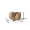 Mineral Conch with Hollow Top Textured Stone Handcrafted Sculpture for Coffee Table, Entryway