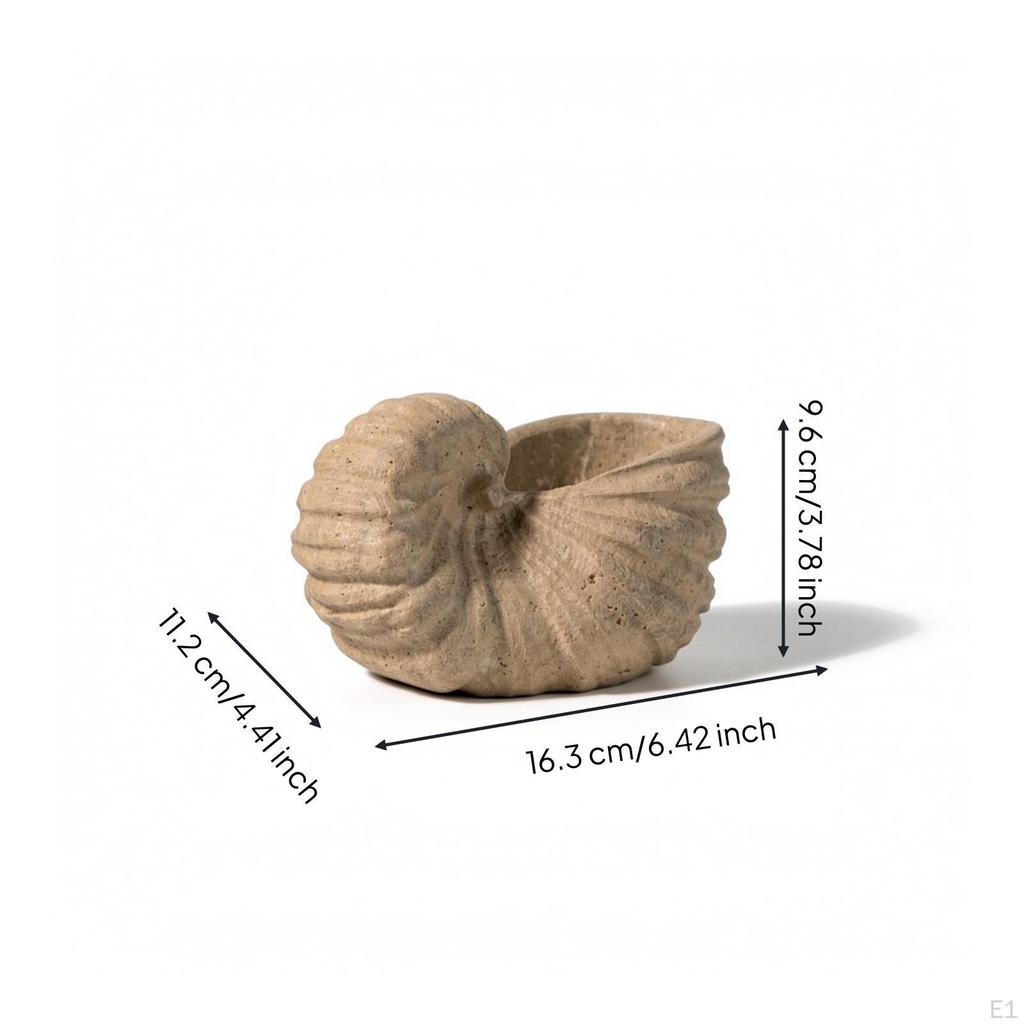 Mineral Conch with Hollow Top Textured Stone Handcrafted Sculpture for Coffee Table, Entryway