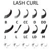 LashPlus Price High Quality Lash Vendor Private Label Lash Individual Eyelash Extensions