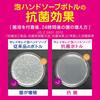 [Large capacity] KireiKirei Medicated Foam Hand Soap Pro Unscented 550mL