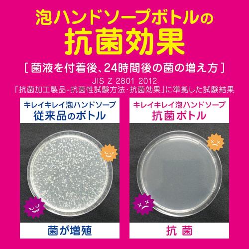 [Large capacity] KireiKirei Medicated Foam Hand Soap Pro Unscented 550mL