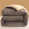 Sleeping grid milk velvet embroidery flower winter quilt core