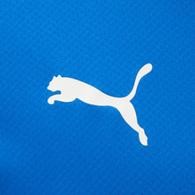 Puma Galleria Puma Team Goal Hombre S Cuello Redondo Manga Corta Camiseta Azul