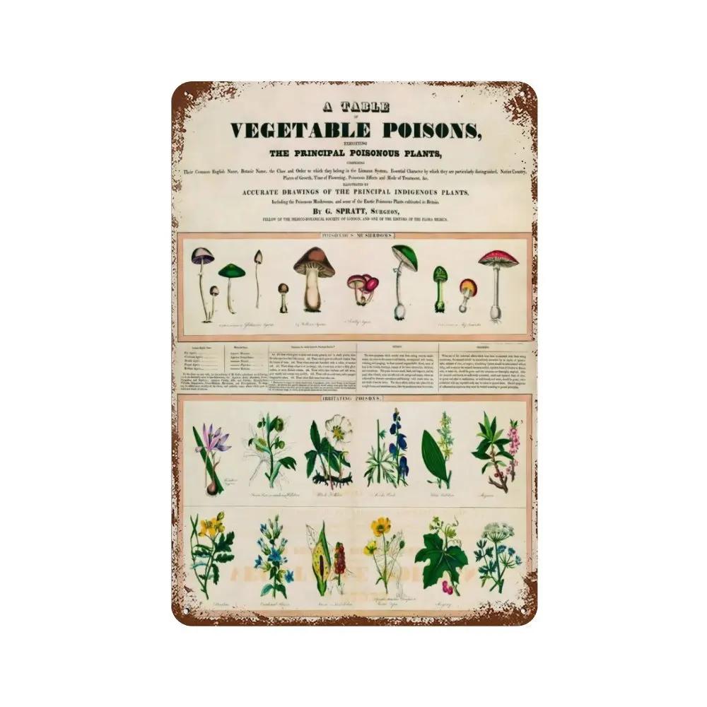 Vintage Pilz Medizin Blume Insekt Schmetterling Gemüse Kürbis Karotte Metall Aluminium Schilder Heim Zimmer Garten Wandkunst Pla