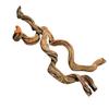 BioCurly Curly Liana for Terrarium 50cm