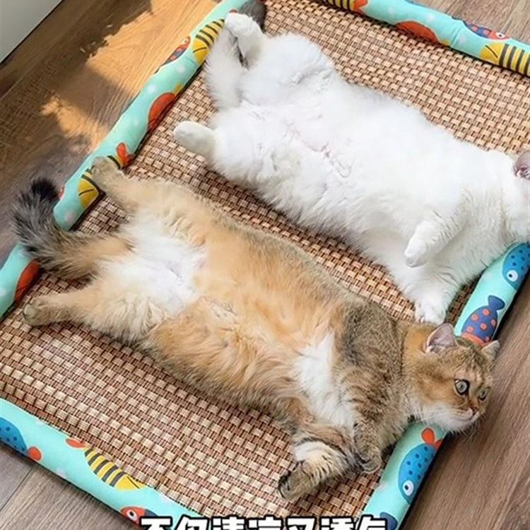 Rattan Cat Bed with Cooling Ice Pad - Four Seasons Universal Cat Nest