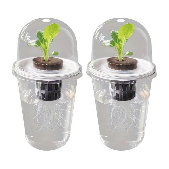 1/2/3/5/6/8/10Pcs Hydroponic Plants Growing Cup with Dome Transparent Plants Germination Pot Gardening Nursery Plants Starting Container