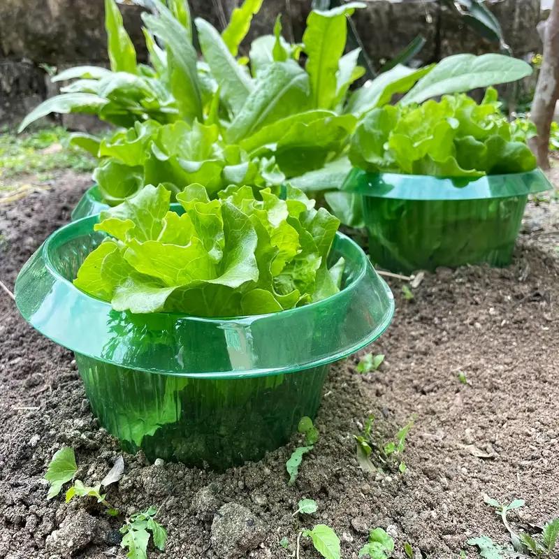 Plants Slug Protection Rings Vegetables Cover Plant Snail Collar Guard Green Planter Flower Pot Pest Control Trapper Garden Tool