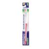 Toothbrush Normal 12-Piece Set Value Pack Straight Cut Large Capacity Bulk Purchase Free Shipping Mail Delivery