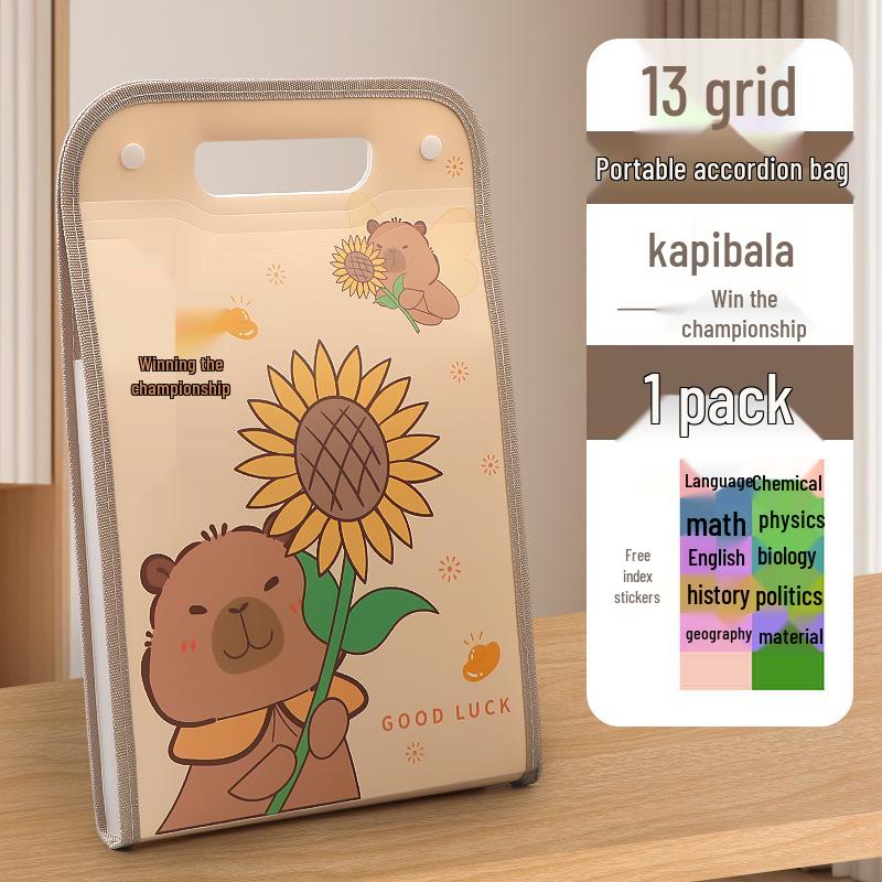 Accordion Bag 5250: Junior High Student Handheld Storage Folder