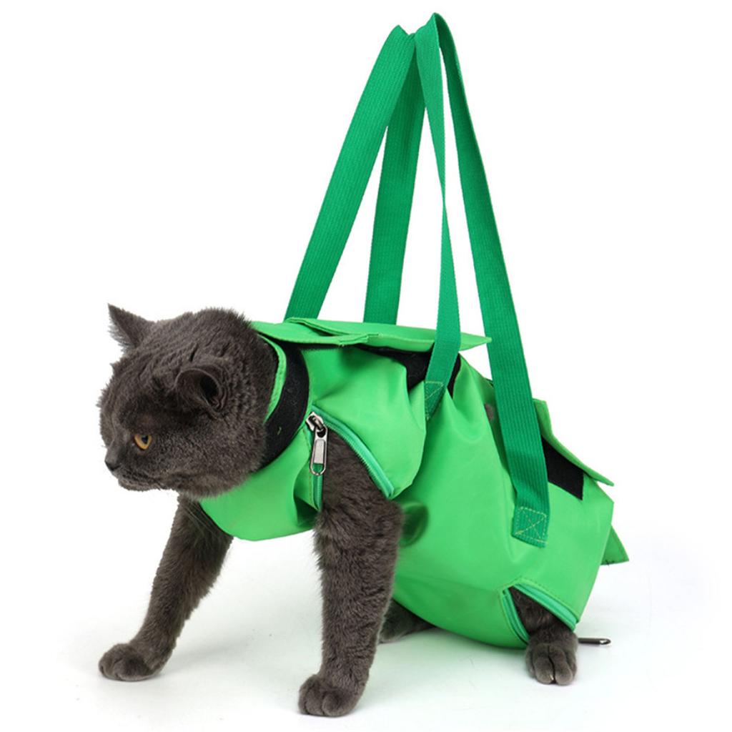 Foldable Pet Carrier Backpack Lightweight Nylon Material Breathable Mesh Portable Design For Cats And Small Dogs