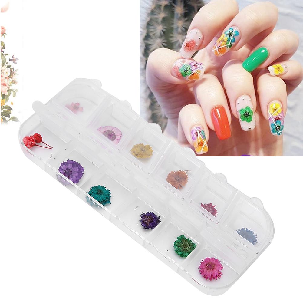 12 Colors  Box Dried Flower Nail Decoration DIY Nail Art Decoration AccessoriesD Style