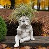 Small Plant Pot Bulldog Dog Planter Funny Middle Finger Resin Flower Cute Whimsical Container Animal Shaped for Home Office Desk Garden Decor