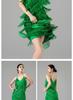 High-End Women's Latin Dance Tassel Dress - Sexy Adult Performance and Competition Costume