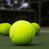 Piłki tenisowe Wysokie odbicie Trening Trening na zewnątrz Elastyczność Trwały tenis dla psów Gryź Chase i Chomp 6,5 cm Piłka dla psa