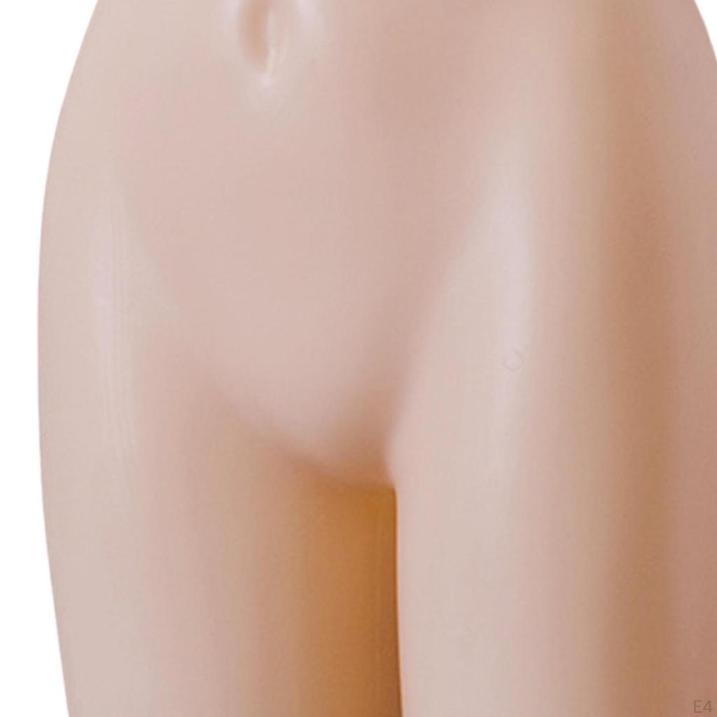 Half Body Display Holder for Panty Mannequin Underwear Model On Countertop