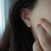 Gold-Plated S925 Sterling Silver Star and Moon Stud Earrings for Women - Micro-Set Mini Design, Cute and Exquisite.