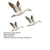 3 Pcs Wooden Duck Wall Decor Rustic Flying Birds Wall Art Vintage Farmhouse Hanging Ornaments for Living Room Bedroom Office