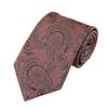 [WIC DESIGN TUSSAH SEIDE Paisleymuster Krawatte]