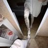 Slightly Transparent Y2K Stockings Letter Printing Gothic Stockings New Pantyhose  JK