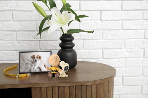 JIM SHORE Charlie Brown mit Snoopy 6017915