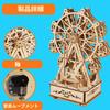 MUSIC PARK 3D Puzzle Craft Kit for Adults, Ferris Wheel Music Box, Craft Kit for Adults, Craft Gift for Women