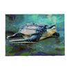 Ocean Animal Sea Turtle Placemat Non-Slip Washable Place Mat for Home Party Dining Tables Wedding Kitchen Banquets Decor