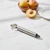 Stainless Steel Fruit Pitting Tool Sturdy Peach Dishwasher Safe