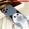 2DFlat Adorable White Cat with Big Blue Eyes Phone Case All inclusive film hard iPhone case, compatible with iPhone 18 Pro Max 17 16 15 14 13 12 11